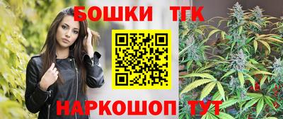 прущие крисы Гатчина