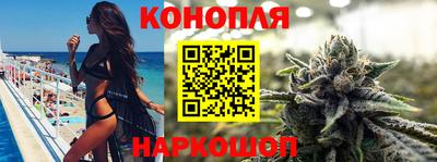 прущие крисы Гатчина