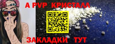 амф Гай