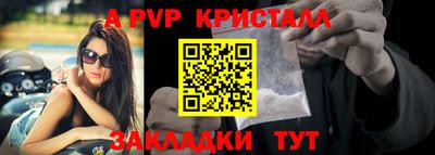 амф Гай