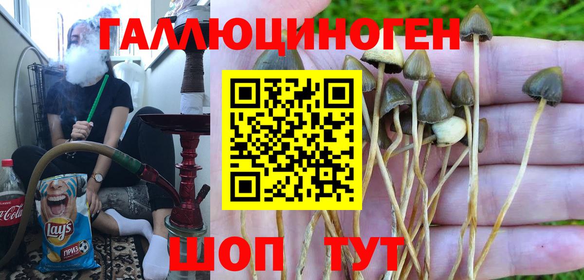 Галлюциногенные грибы Magic Shrooms Десногорск