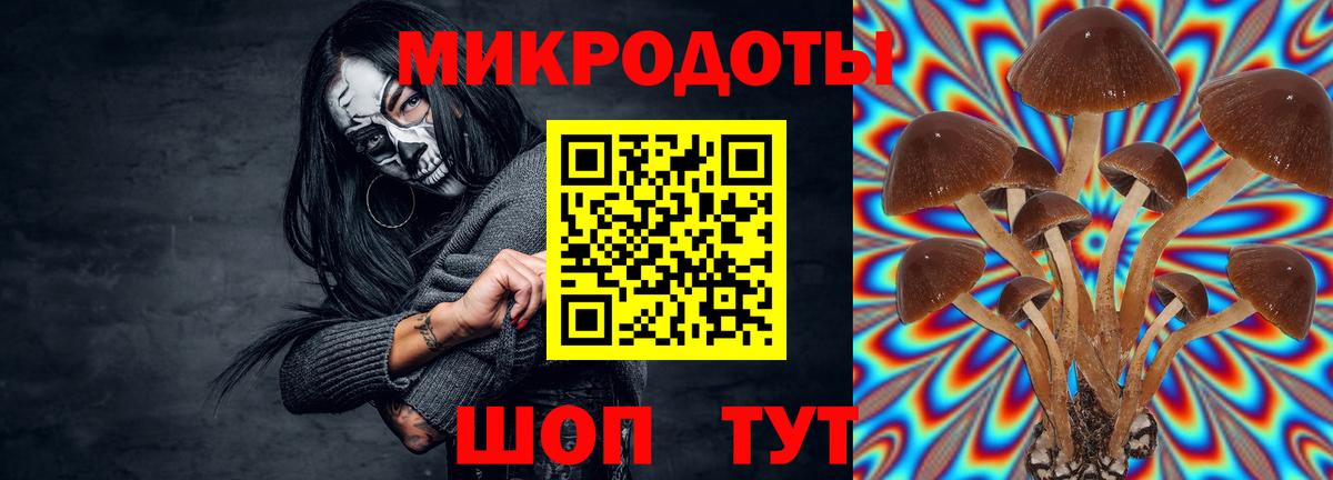 Псилоцибиновые грибы мухоморы  Вход с VPN  Десногорск 